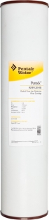 Pentair (Pentek) BB RFFE-20 Iron